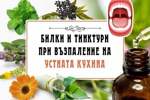 Билки и тинктури при възпаление на устната кухина