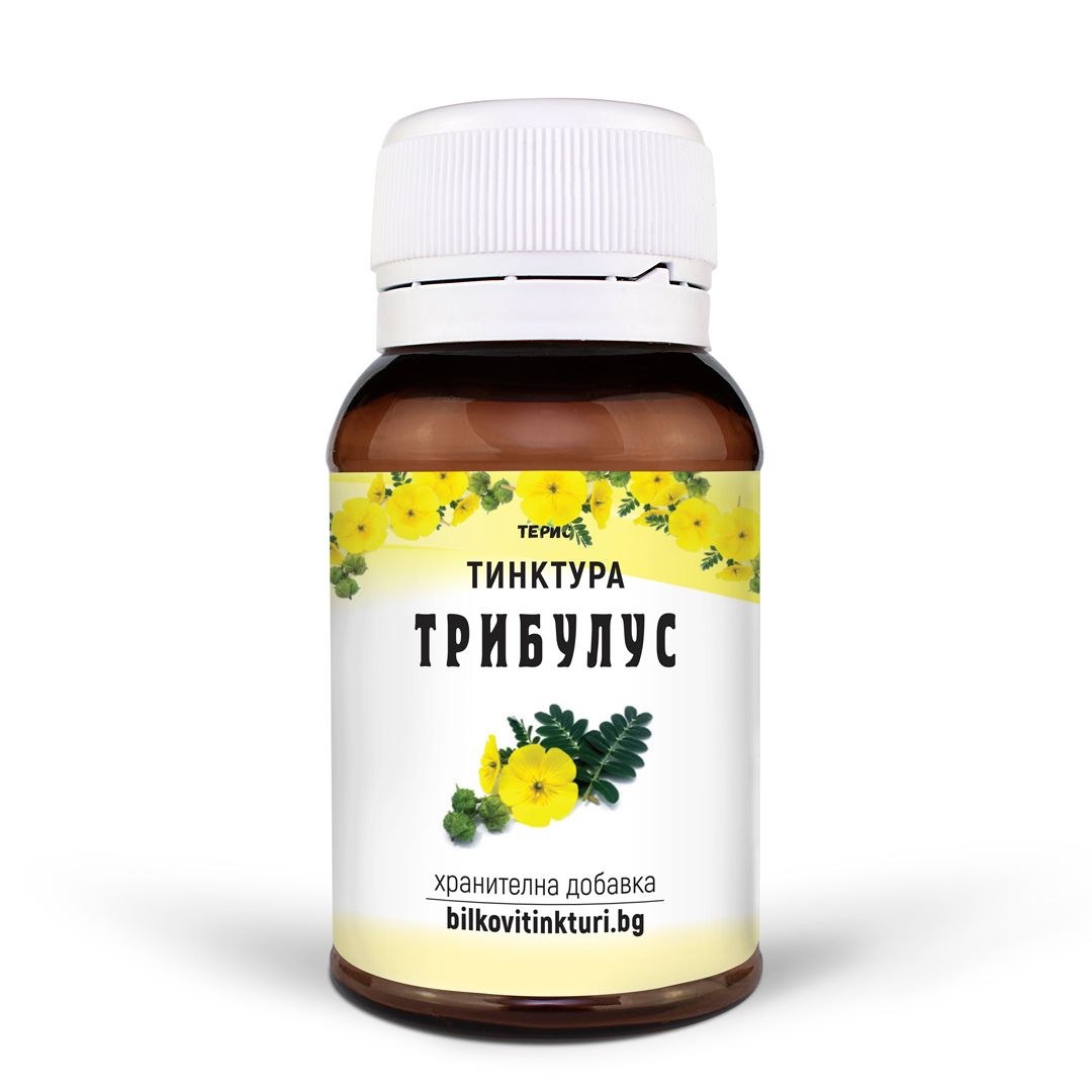 Трибулус